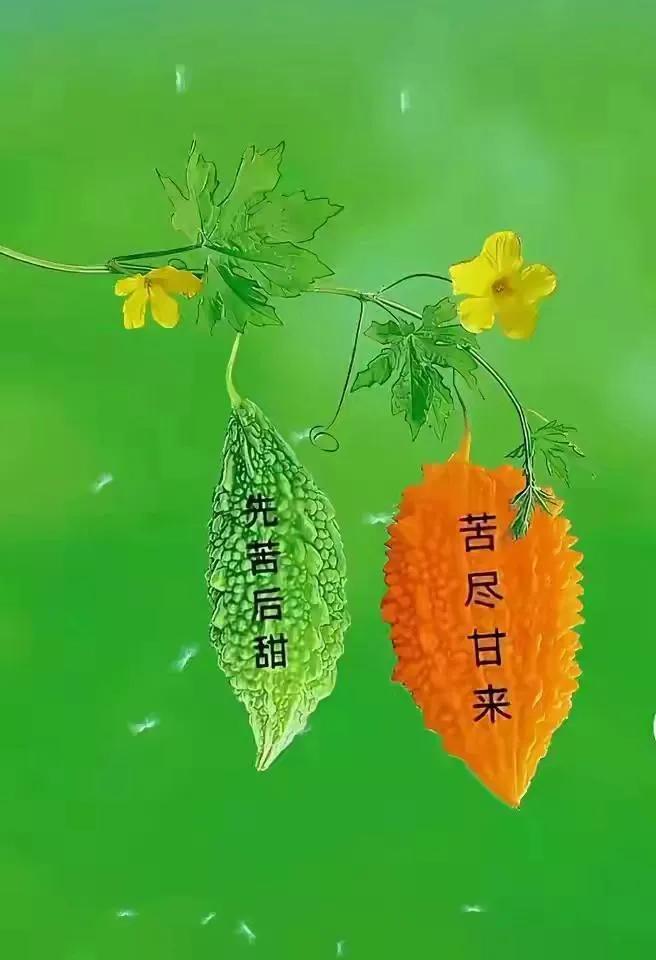 生活中愿你删繁就简，把生活过得得透亮，像清茶入喉，简单也舒服。不去计较才自在 淡