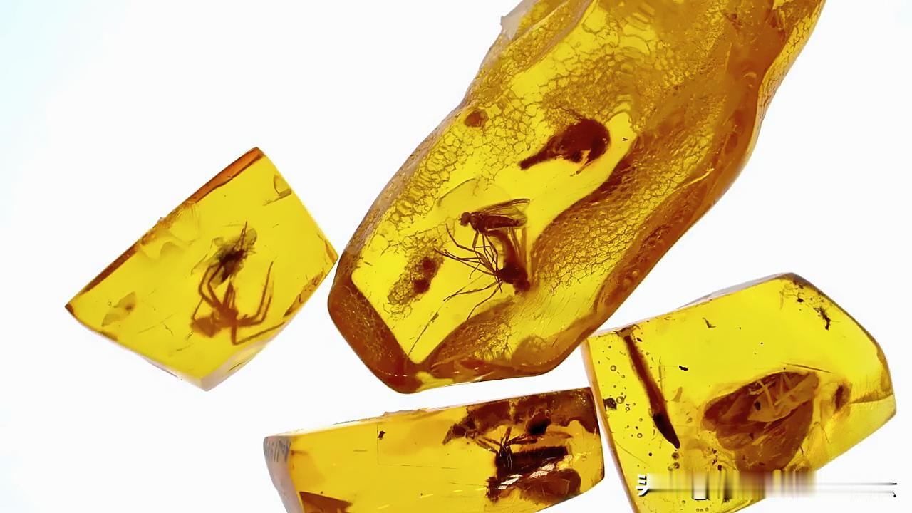 2022诺奖爆火假说：你想念的人，根本没消失在时空里！
 
你以为阴阳相隔就是彻