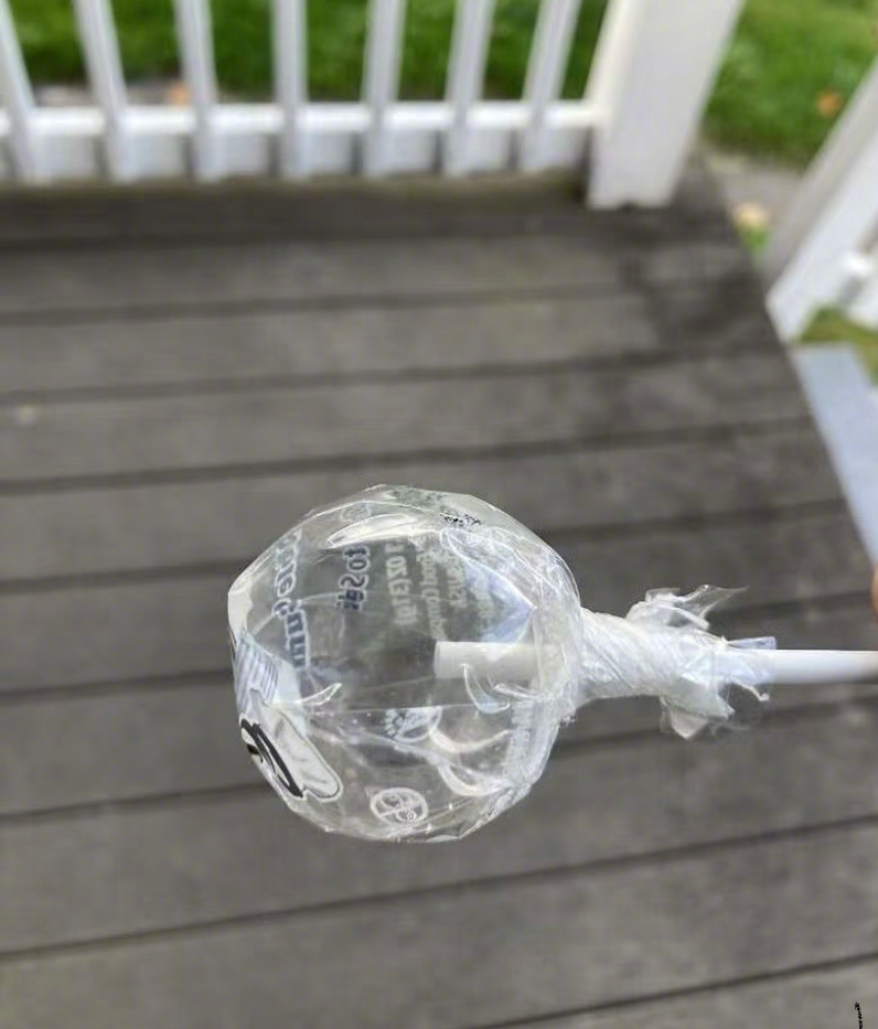 棒棒糖被蚂蚁吃成真空了 