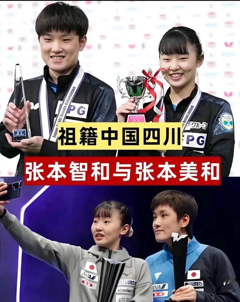张本智和张本美和虽说你哥俩球技杠杠滴，但我也不喜欢你俩，你们骨子里流的是中国人的