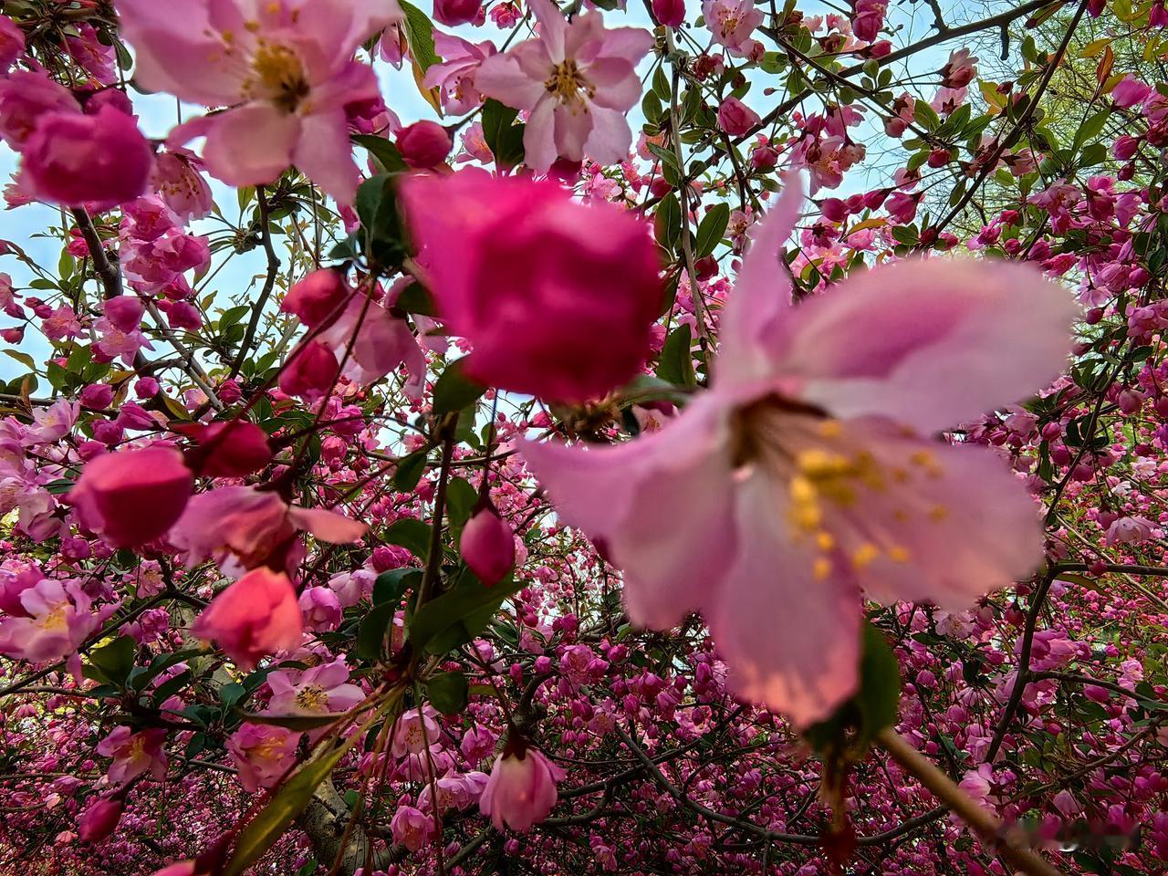 生活感悟：平凡的日子，藏着最踏实的幸福。
 
我们总在忙着追寻所谓的幸福，总觉得