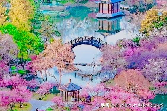 粉黛乱子草如梦似幻，古风建筑如画卷般展开，仿佛置身于世外桃源。[赞][来看我]