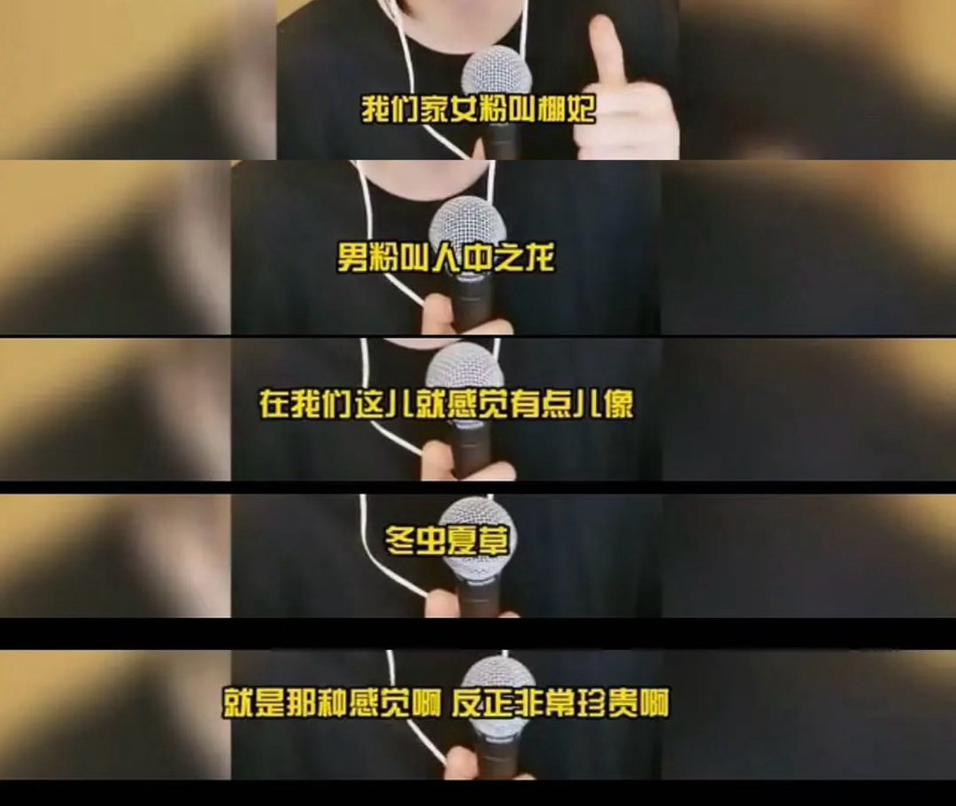 女粉叫棚妃，男粉叫人中之龙
