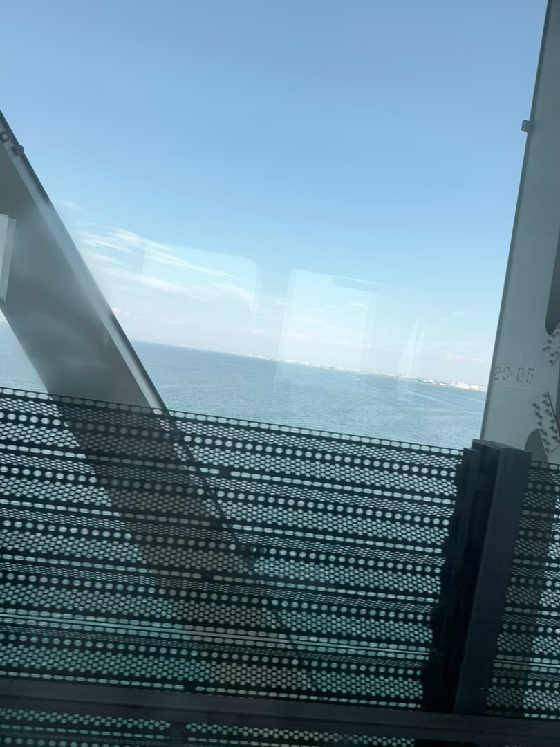 美丽 