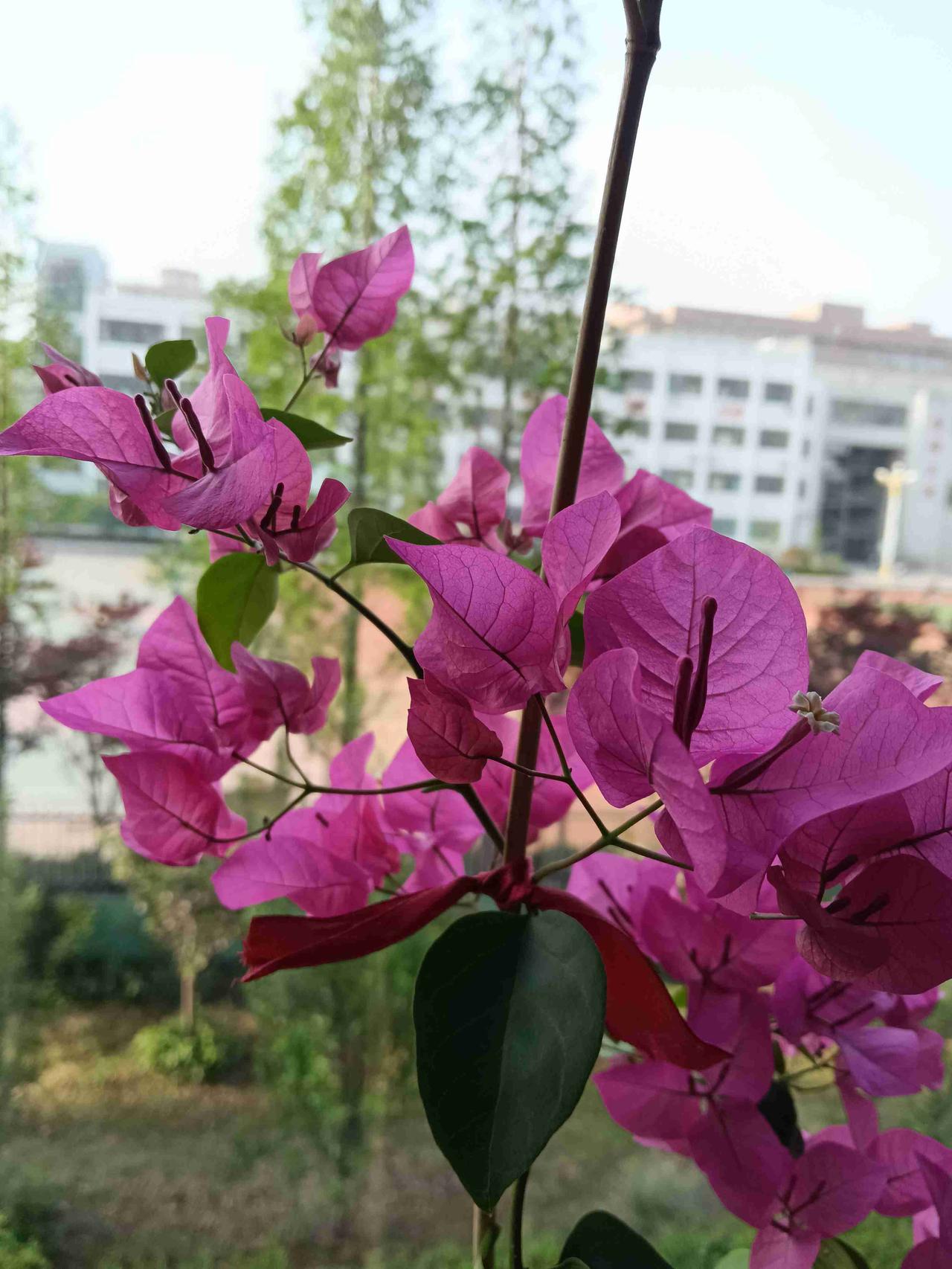 我的今日状态：💰期待暴富
我这里的天气：🌤️多云