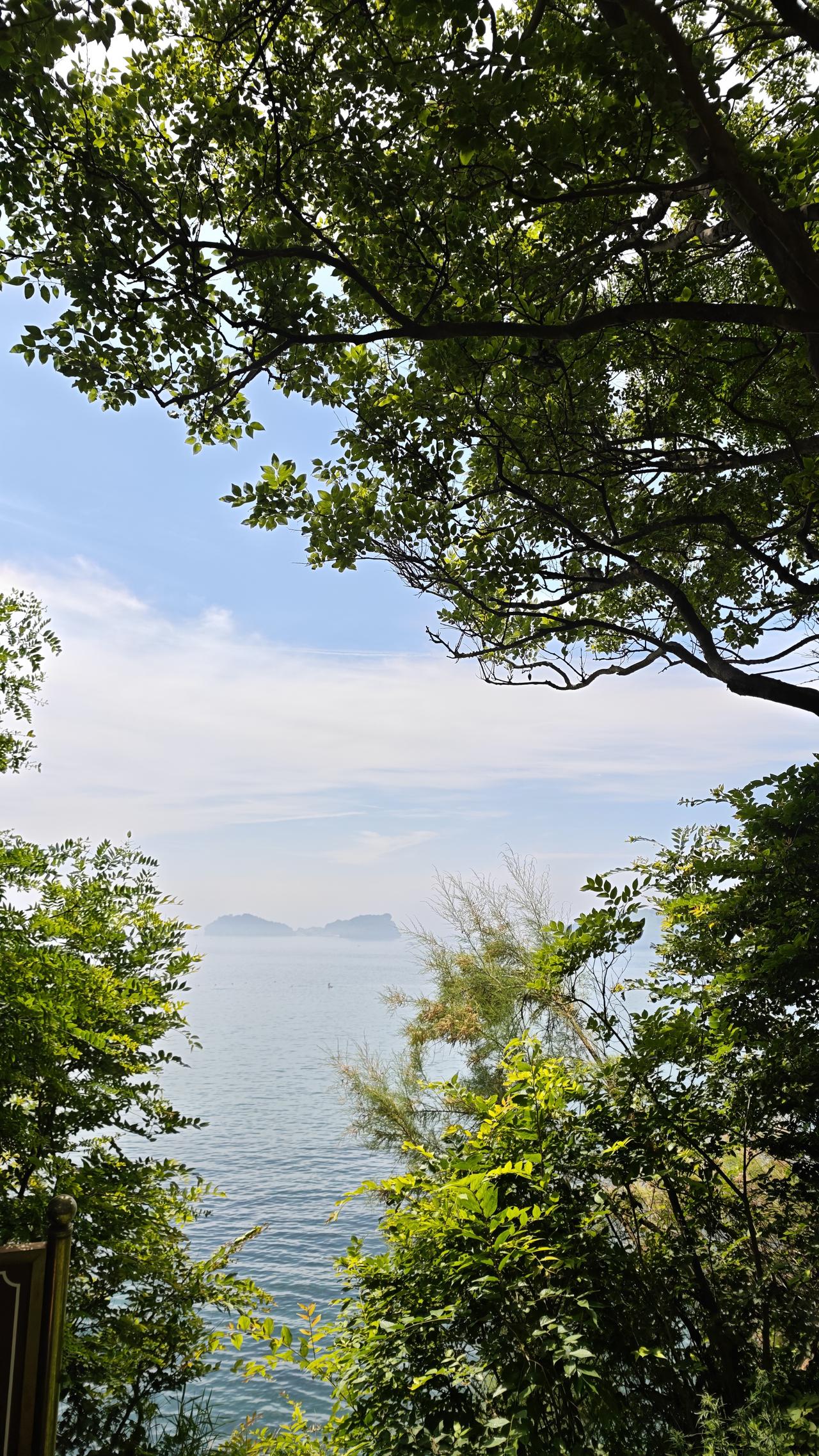 6月27日 周六🧮总结：阅读类216分钟，其中漫画等＞2小时；家庭学习内容50