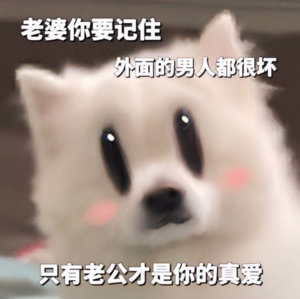 我玉米妻巴，你玉米几呀？#日常分享# ​​​