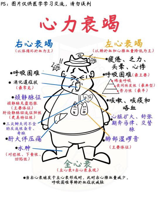 📒医学生笔记｜心力衰竭✅干货收藏