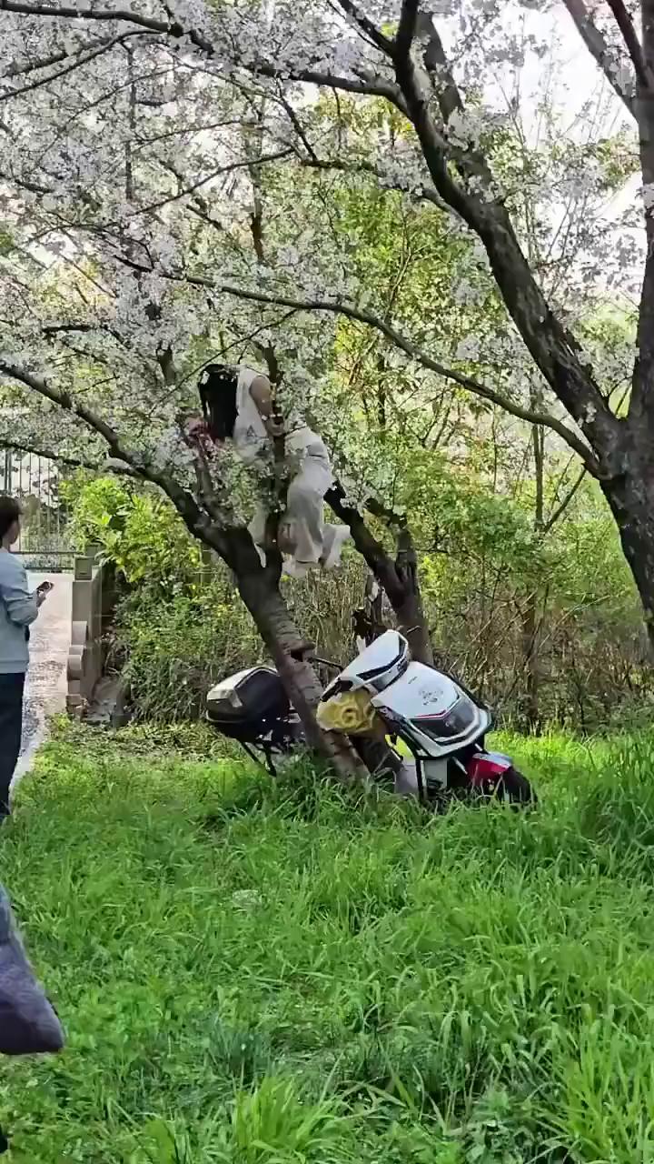 我标记了一辆载具。