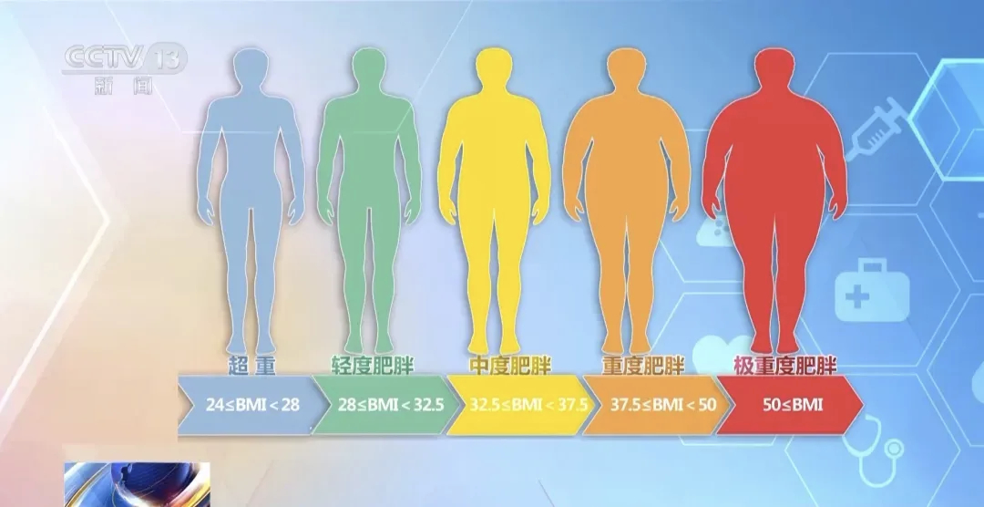 减肥难不是意志力的问题，很多人好不容易瘦下来，却发现维持比减肥本身更折磨。近年来