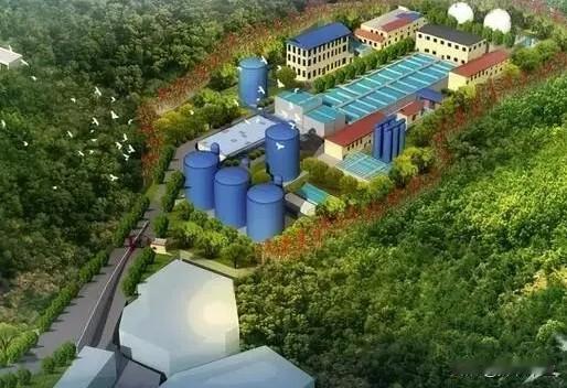 真相在媒介翻飞的羽毛之下，孰是孰非不敢轻言。

但当地部门的决绝手段与措施，确实