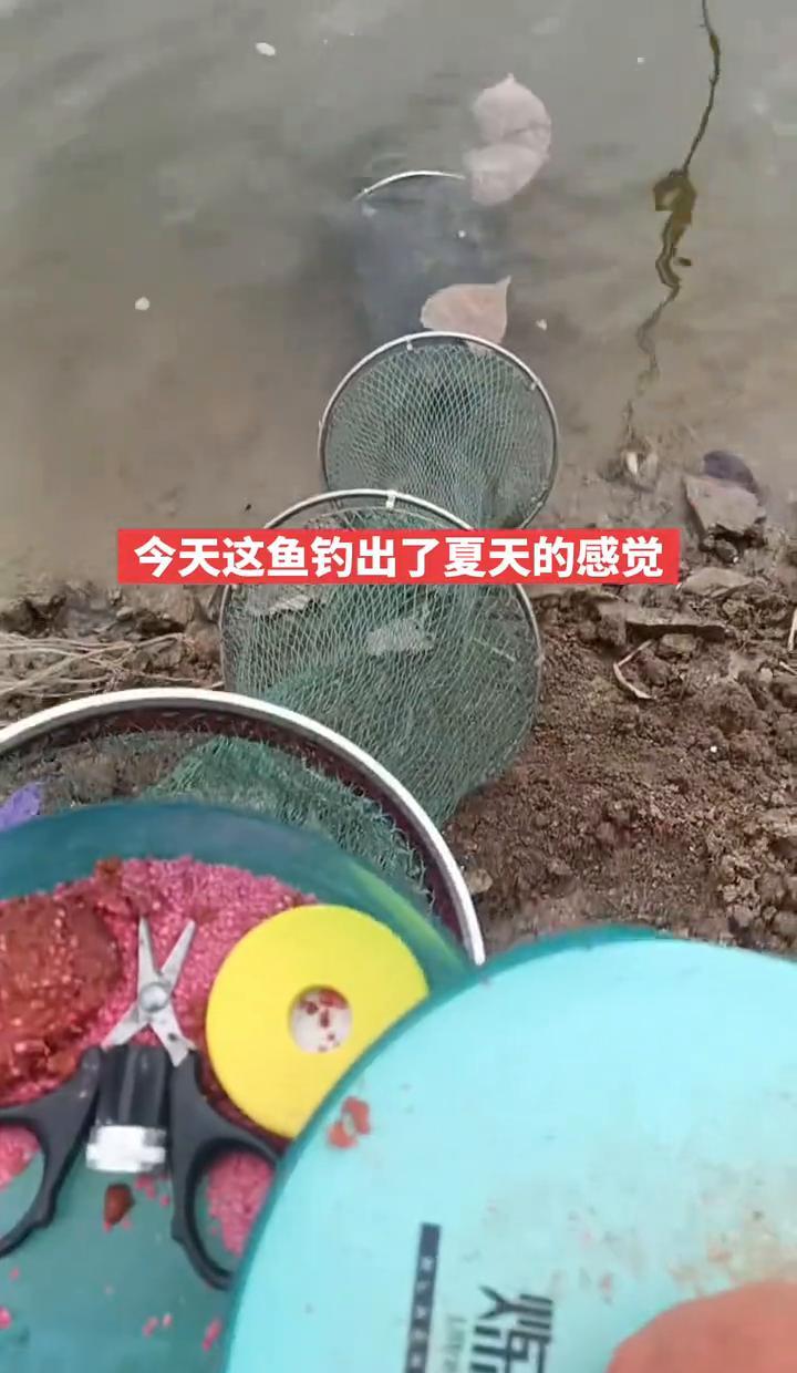 别信“冬钓没口”的鬼话了。
我刚打破了这个魔咒。
156条鲫鱼，外加一堆鲤鱼。