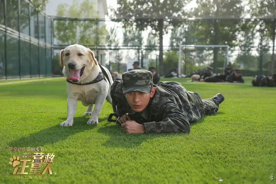 真的是好久以前拍完的电影了，感觉成毅这么多年没变样啊成毅电影营救汪星人近期会上映