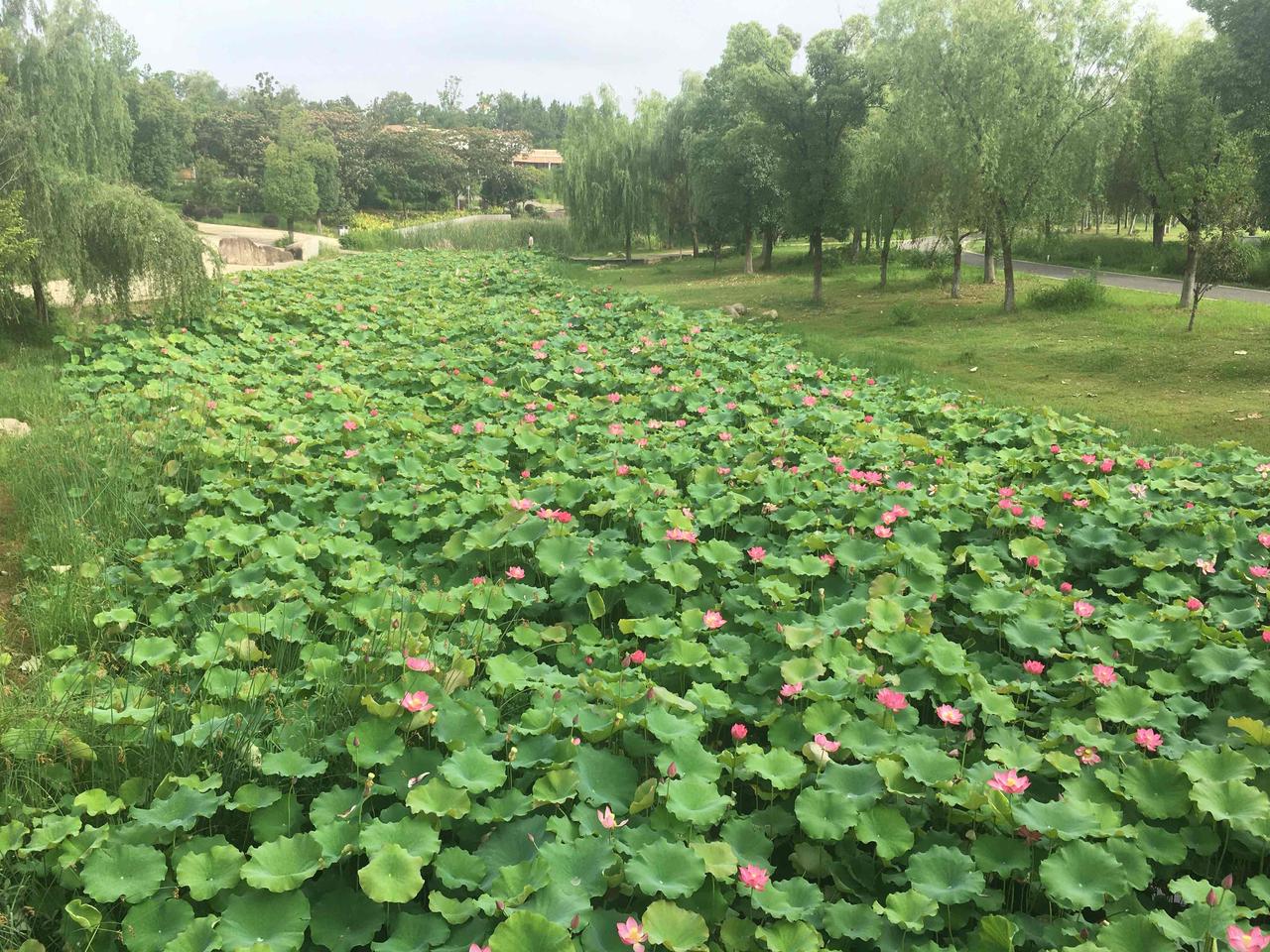 一句话概括，幸福是什么⊙∀⊙？幸福是能有一个健康快乐的老年生活