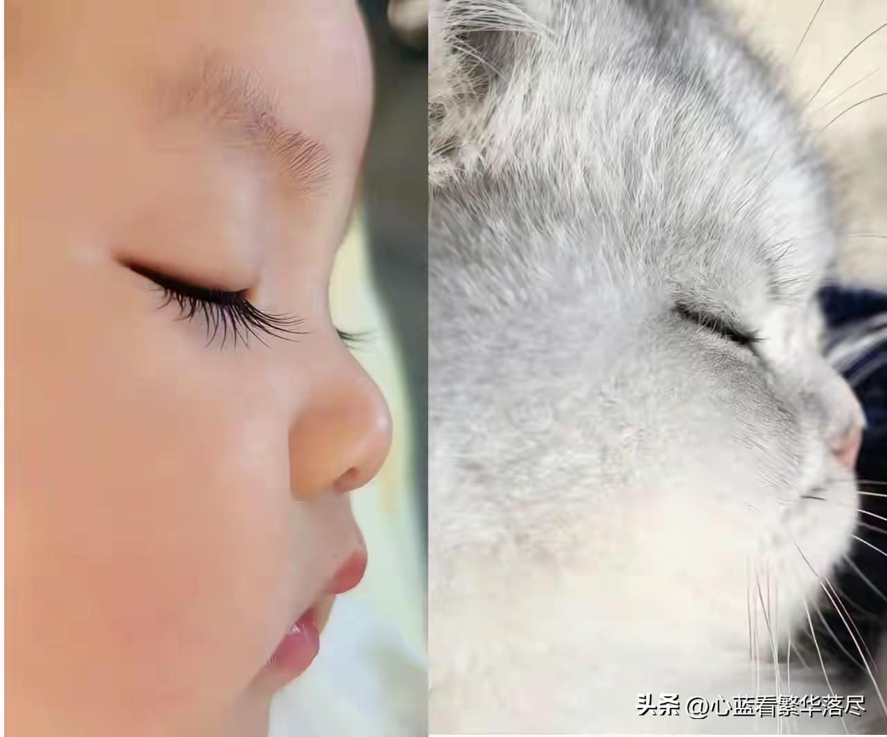 终于知道为什么有很多女人，都那么的喜欢养猫咪了！看到这张小宝宝与猫咪的同框照片，