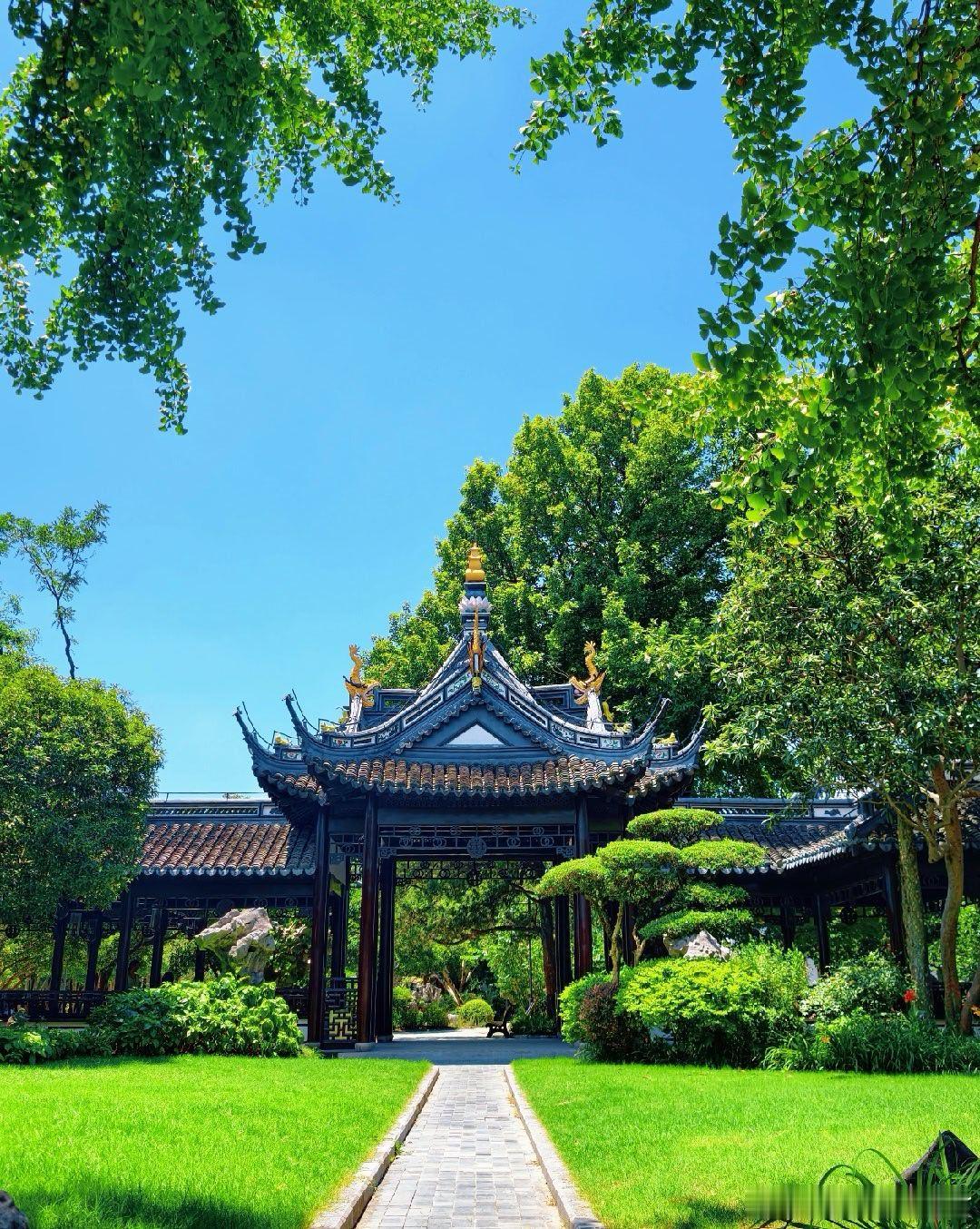 旅行八月你好 上海夏日｜微风解暑，绿意漫游当盛夏的热浪裹挟着城市每一个角落，我们