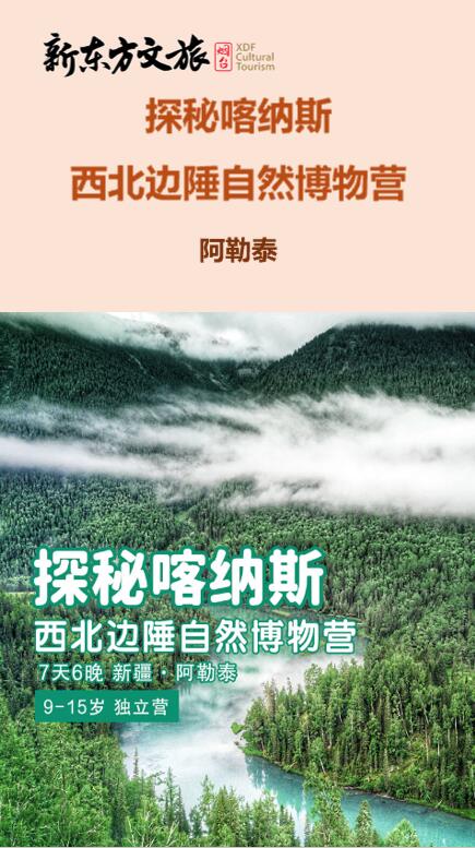 这个夏天来到美丽的新疆喀纳斯！
