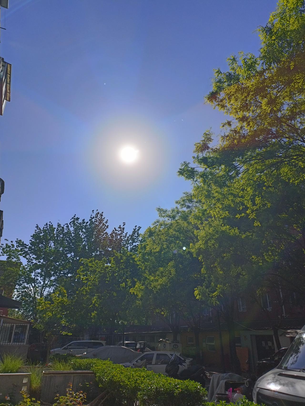 今年春天最想实现的心愿 今年春天，我最想实现的心愿就是看看日出日落，看天上的云。