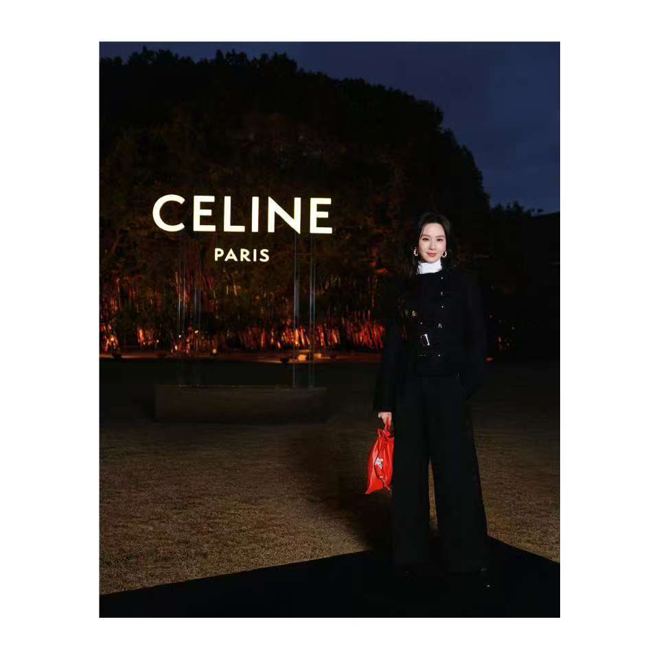 刘诗诗新春晚宴刘诗诗CELINE新春晚宴刘诗诗新春晚宴，好美啊，