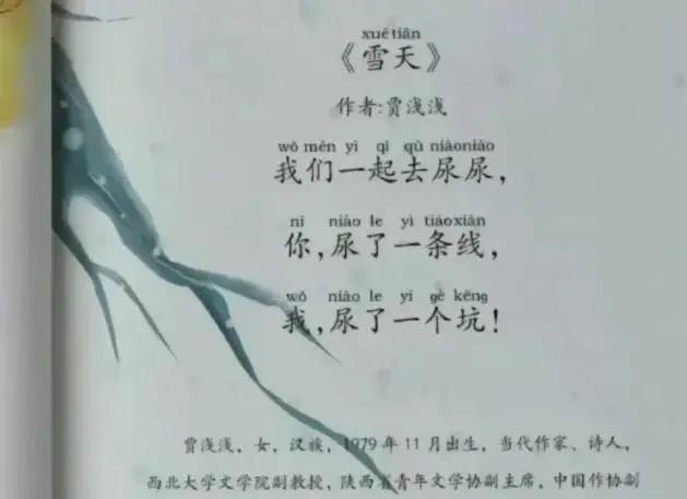 同样是“文二代”资源加持，贾浅浅和蒋方舟谁更有天赋？

蒋方舟被人大撤销学位，贾