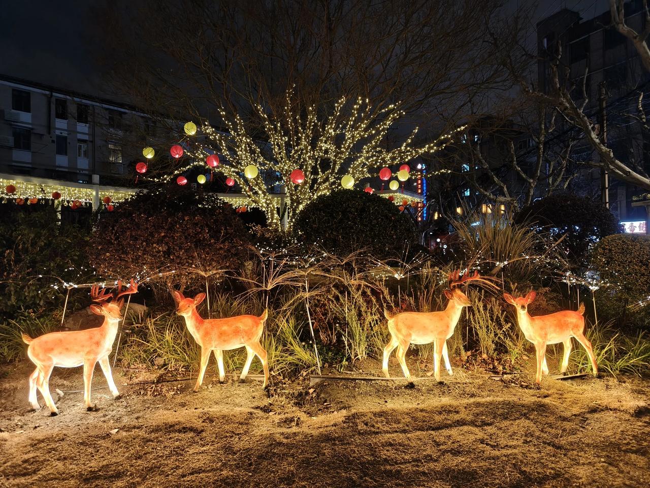 大年夜楼下赏灯随手拍实景图分享！

今年的灯比较素净，不花哨

马路上也比较冷清