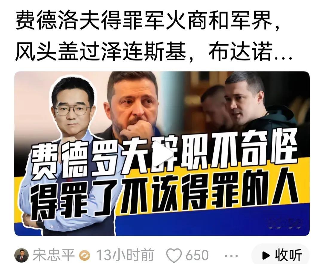 宋忠平认为费德洛夫是因为“得罪军火商你军界，风头盖过泽连斯基”才被免职。这是典型