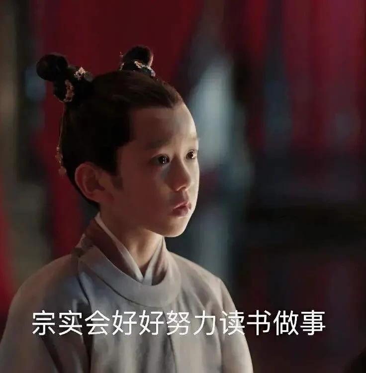 1062 年，宋仁宗在群臣的建议下立侄子赵宗实为皇子。

赵宗实连上十多封奏折拒