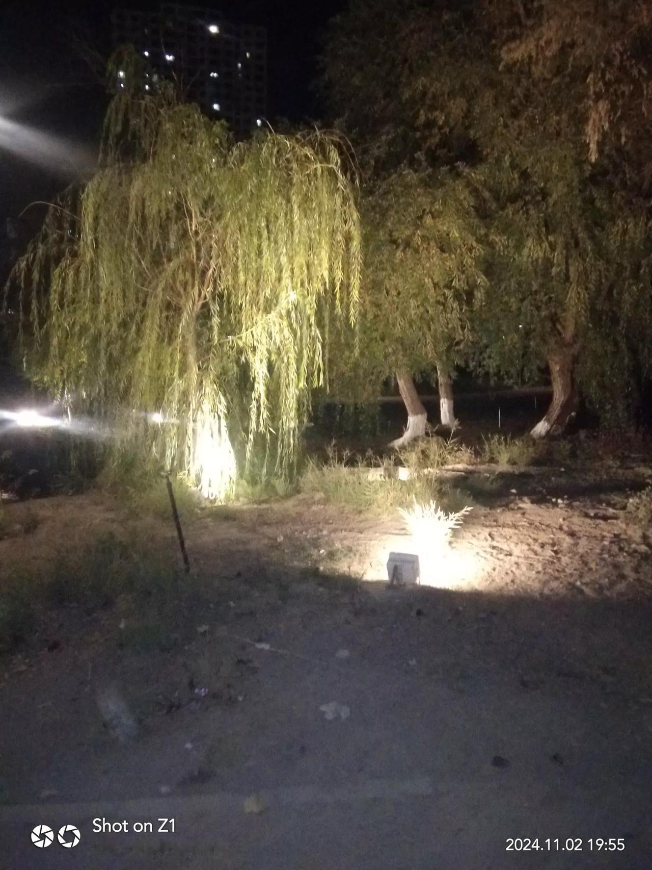 夜深人静处，灯影映绿荫。
不是孤独客，难见此情景。