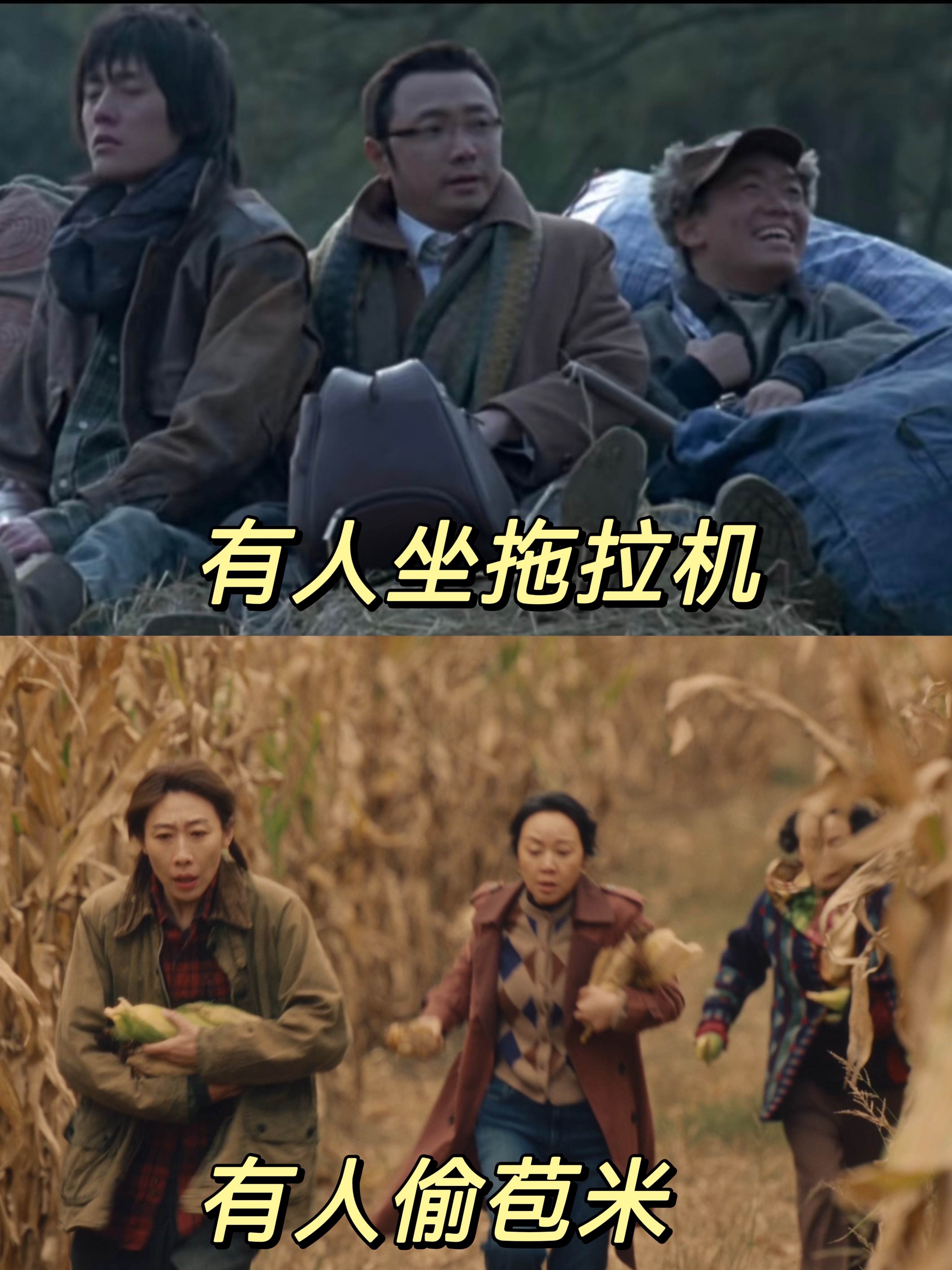 闫妮任素汐艾丽娅喜剧式追凶一路灿烂是妈在囧途吧一路灿烂 谁说悬疑必须冷峻压抑？闫