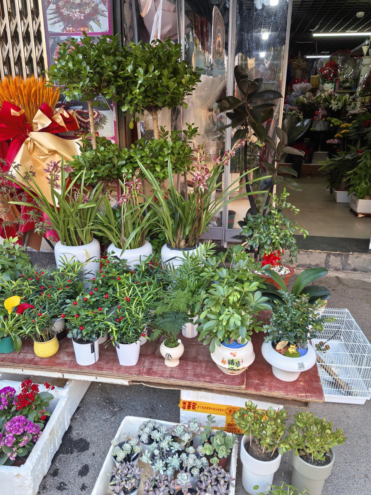 我在头条晒家乡 鄂州这地方，市场那叫一个繁荣，商品丰富多样到让人挑花眼。
先说说