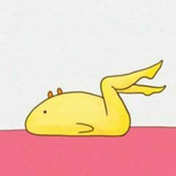小旭最爱科技