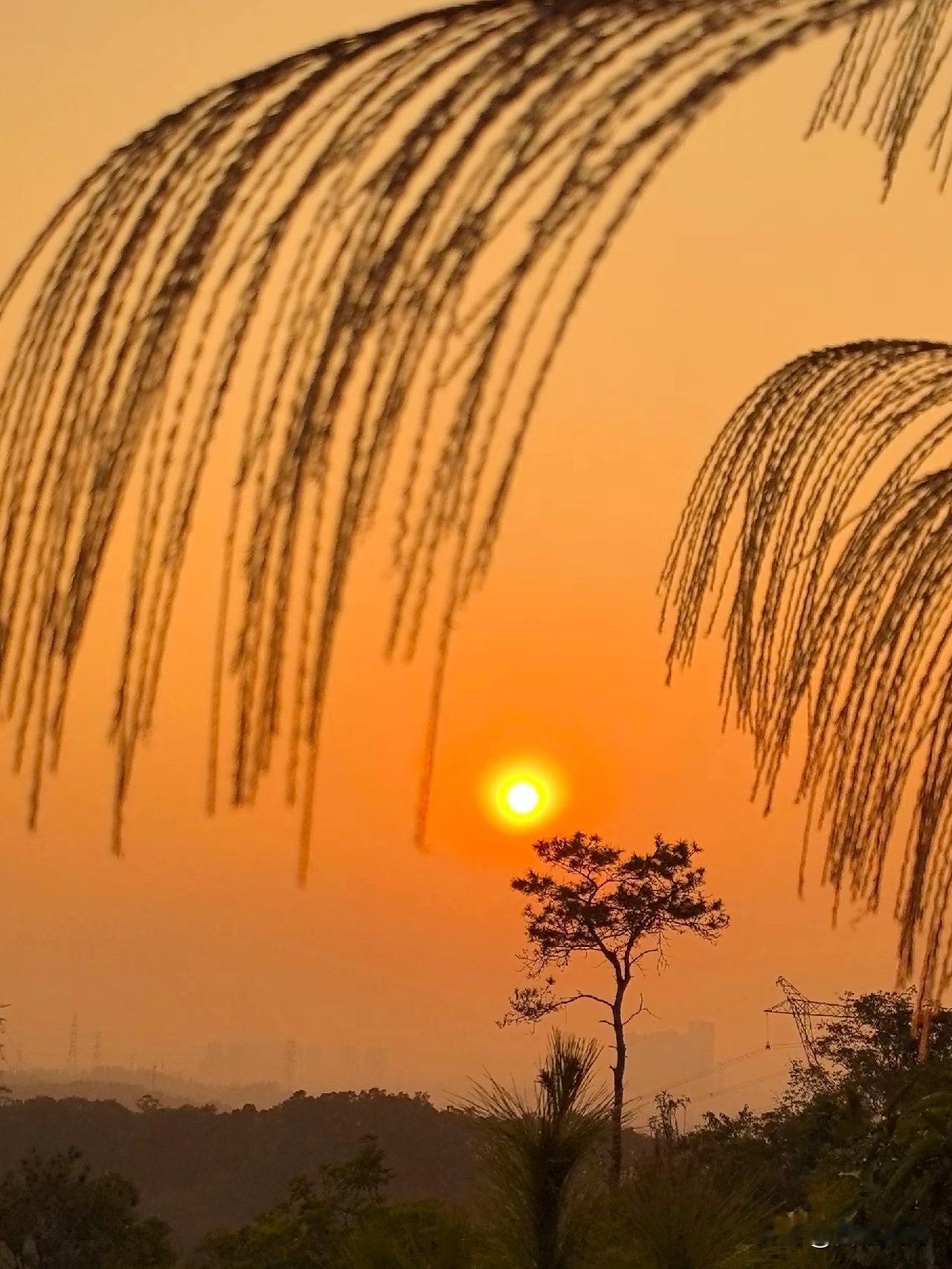 胡歌代言广告陷抄袭风波！撞脸法国广告 品牌喊冤难平争议
 
12月初，娱乐圈又爆