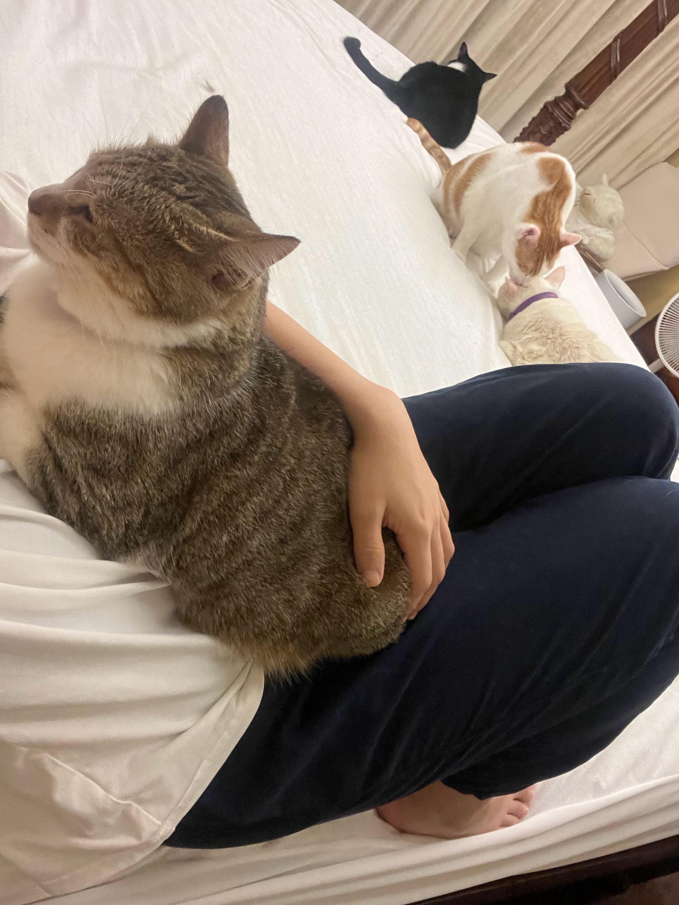 小妹真的太会了，我摸摸他后背他会摆出一脸满足的表情，趴我身上用小手摸摸我脸再跟我