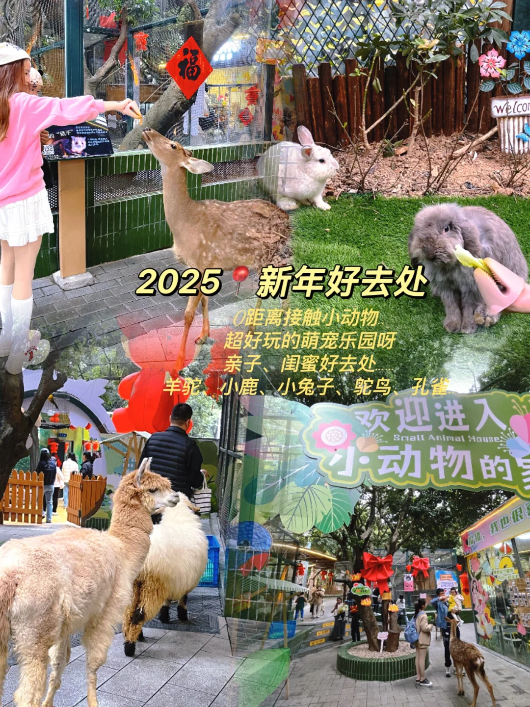 2025新年好去处｜可以0距离接触动物的乐园……