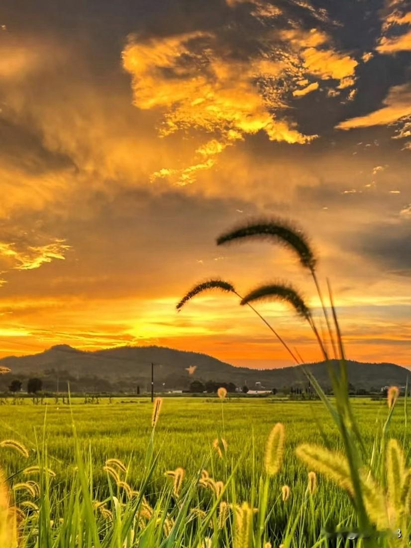 夕阳无限好，
景色美如画。

人生如画，
又如四季。

太阳升起，
又有落下。