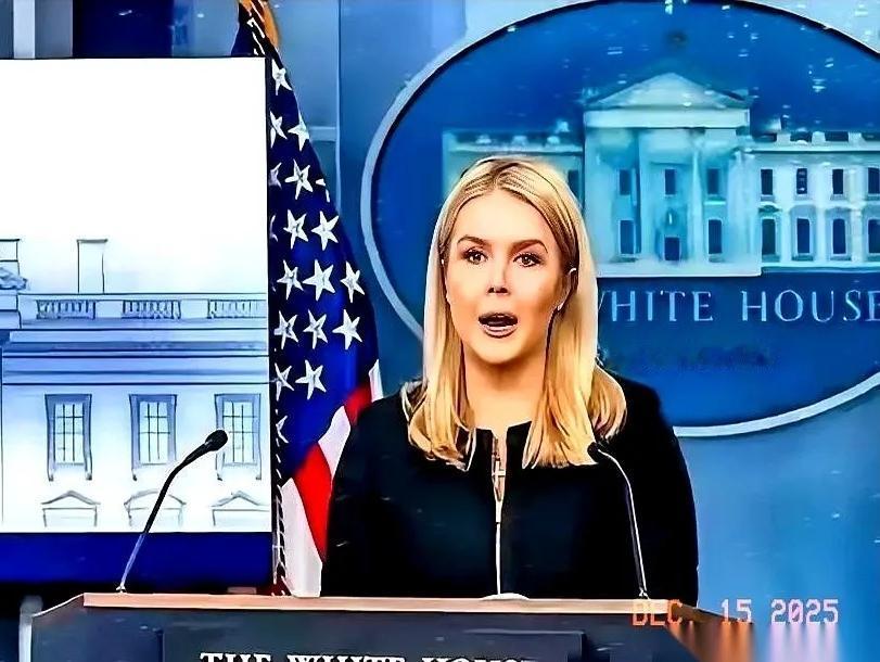 美国人拿着芯片说，卖给你。
我们说，不要。
然后，他们就懵了。白宫的人出来说：我