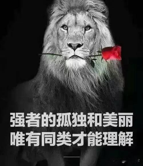 散户为什么会被轻易收割
炒股过程中导致失误的原因之一是节奏被打乱。主力有时候会刻