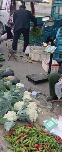 76岁老人卖菜拒收扫码，冻红双手却说：年轻人，拿去吧！

凌晨6点，8℃的冷风里