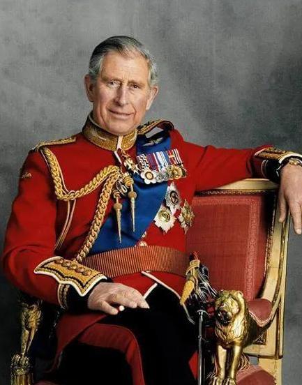 真够尴尬，查尔斯合影闹大笑话，背景挂着黑奴贩子画像，加勒比人看见直接炸毛。
 