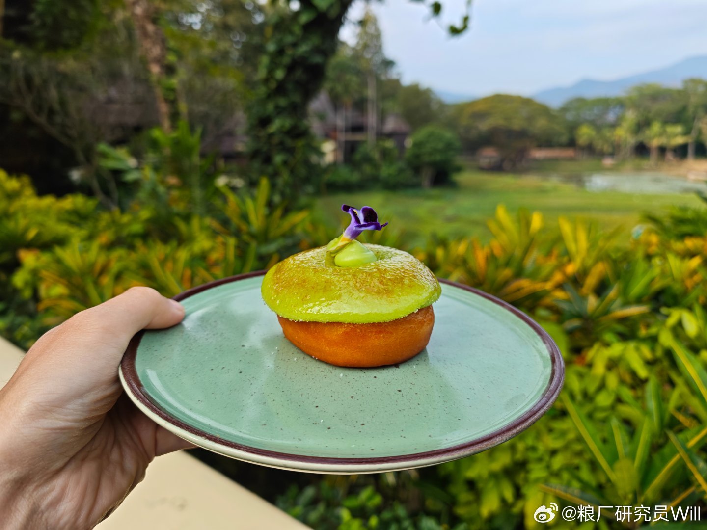 不开盘的周末很美好，没想到清迈的东西还是挺好吃的事已至此,先吃饭吧 泰国·清迈