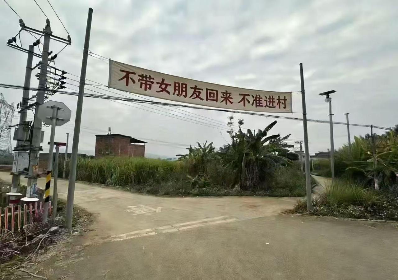 妈的，回家也难，不回家也难，村口都挂上了