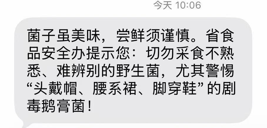 一年一度的野生菌又来了。
云南人有一个判断什么时候吃野生菌的标准，那就是什么时候