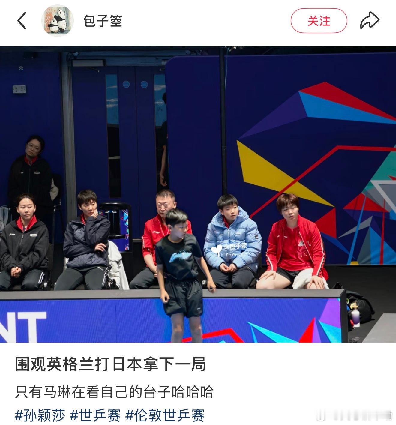 哈哈哈除了厨子，其他都在吃瓜