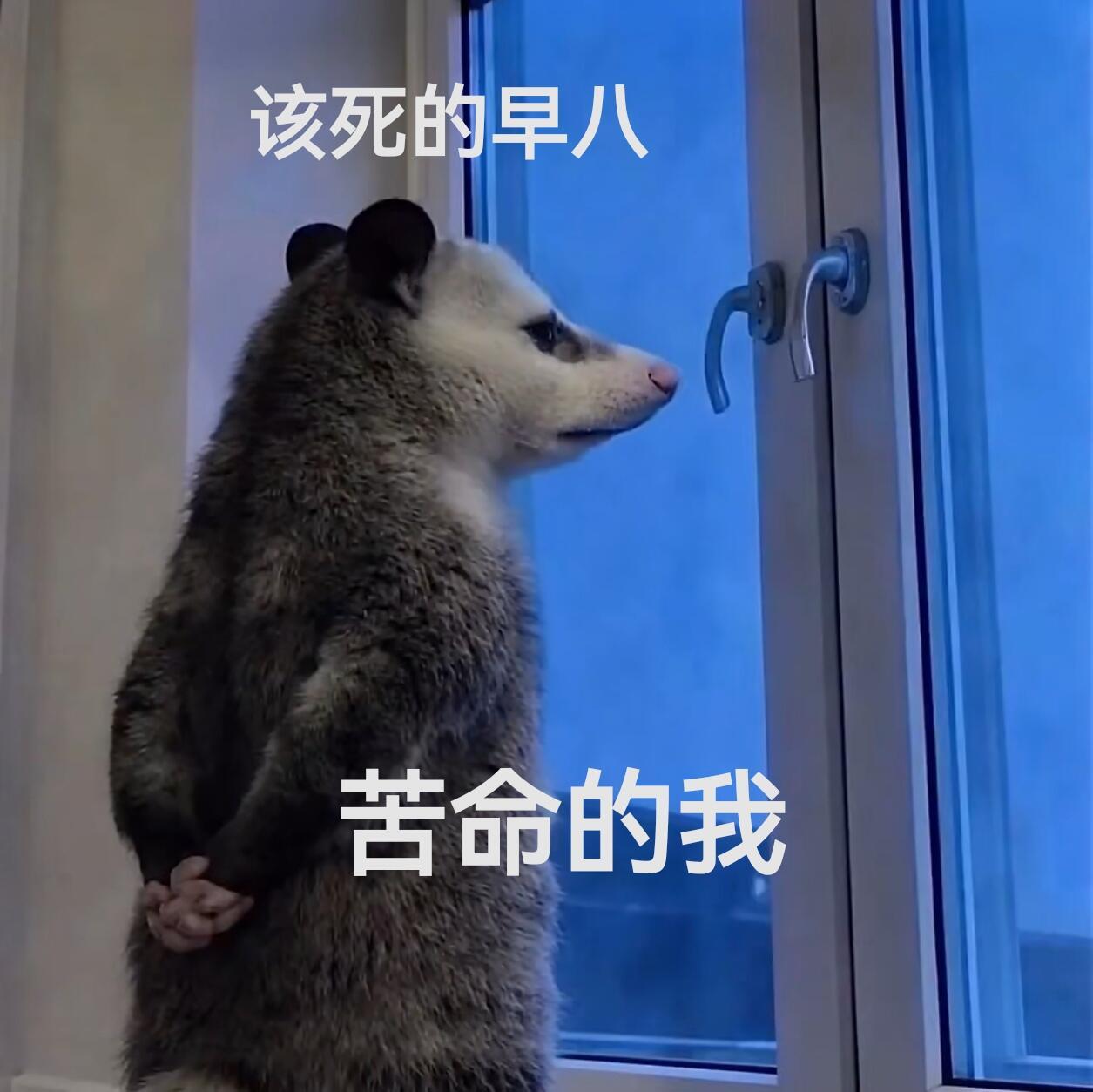 不要和上班的人诉苦累到不想上班穷到无法辞职又年轻到无法退休🤣 