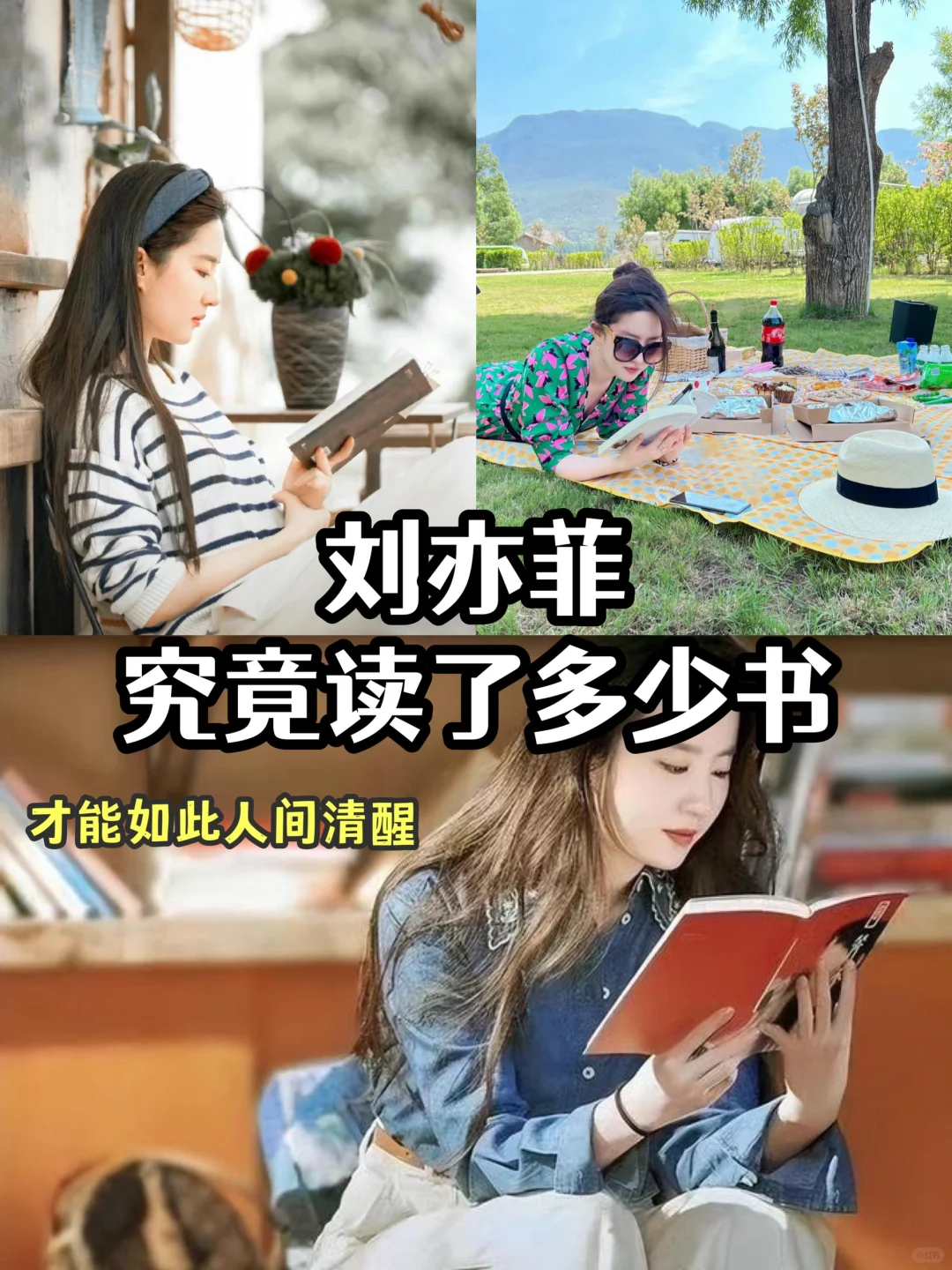 悄悄挖来书单，刘亦菲究竟读了多少书？