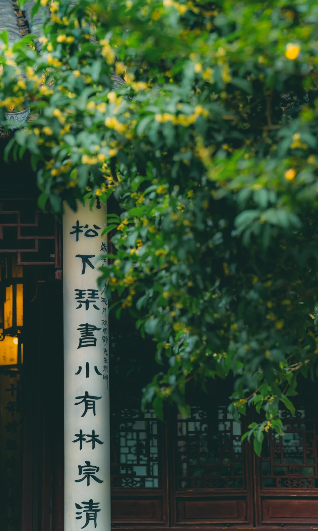 答应我，秋天一定要来苏州园林寻桂闻香‼️