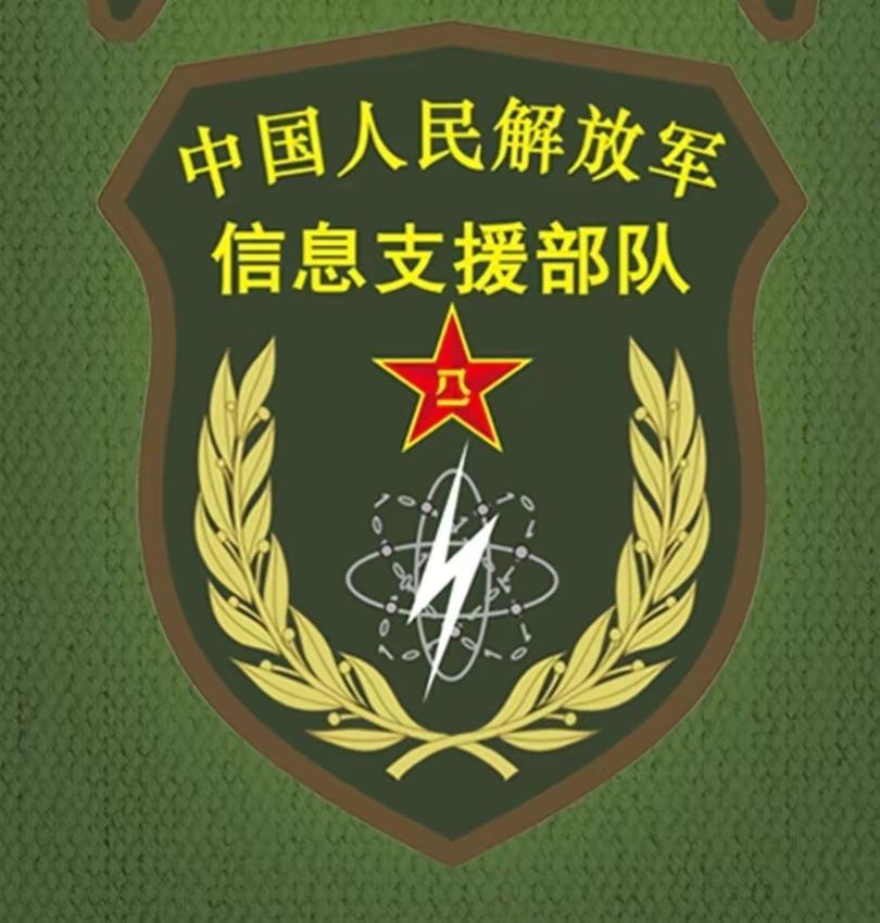 我国各军兵种的臂章都在这里 请查收 上次发的作品把后面两个臂章顺序搞反了 向各位