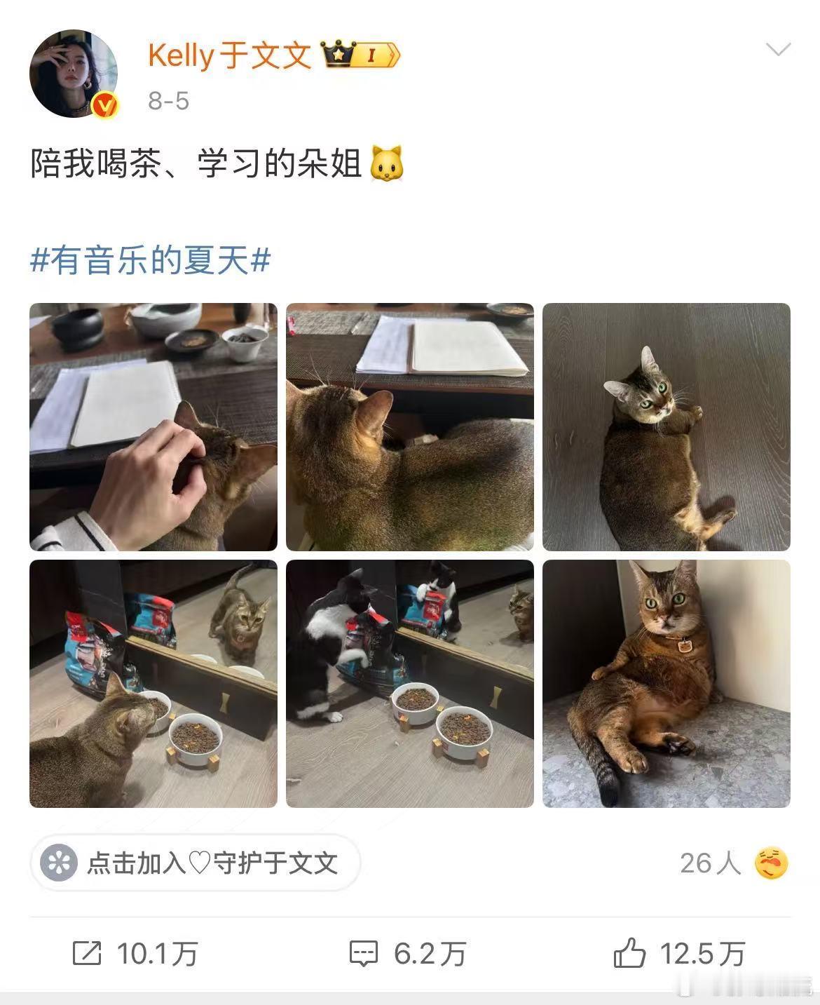 于文文带猫原地出道了 于文文简直就是行走的“猫薄荷”！每次遇到猫咪，她们都会自动