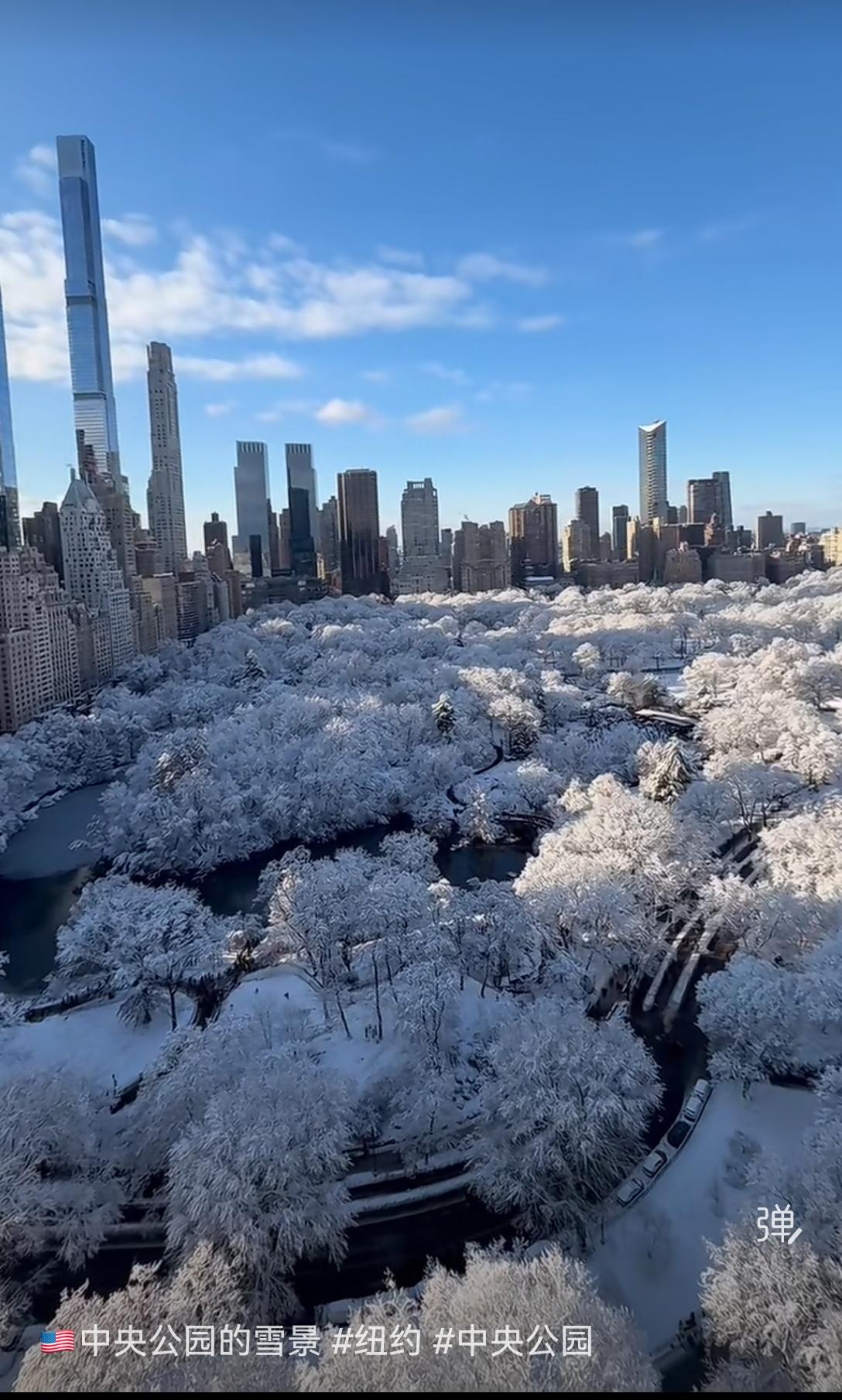 [星星眼]纽约，下雪了，中央公园的雪景“蔚为壮观”，但，此情此景…如今总觉得哪里