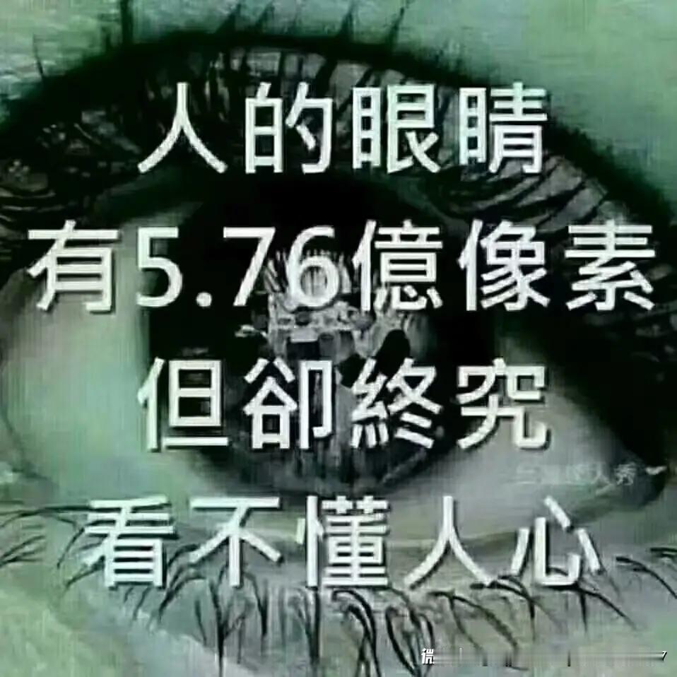 【懂得了遗憾 就懂了人生】
盛年不重来，一日难再晨，及时当勉励，岁月不待人。
 